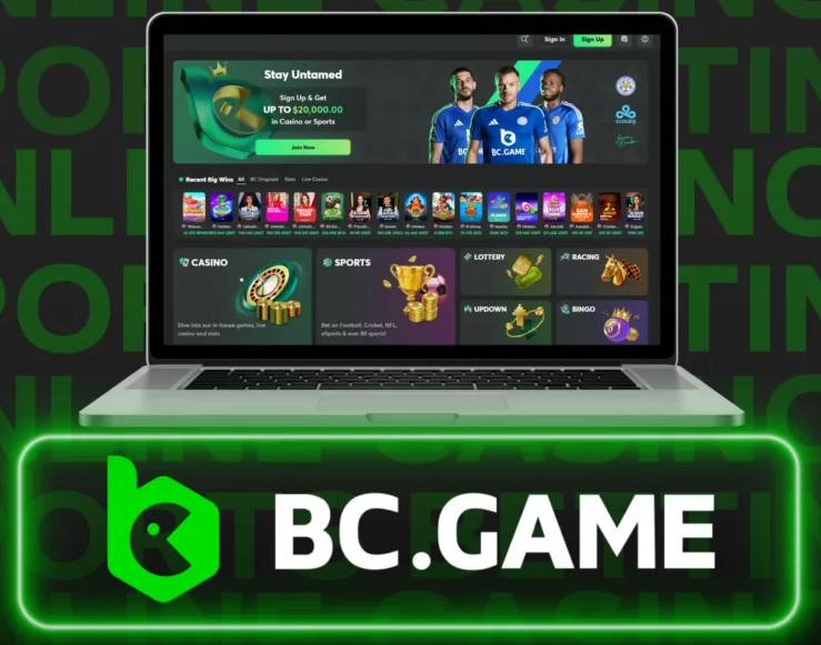 Unveiling the Thrill of Bc.Game Online A Comprehensive Guide